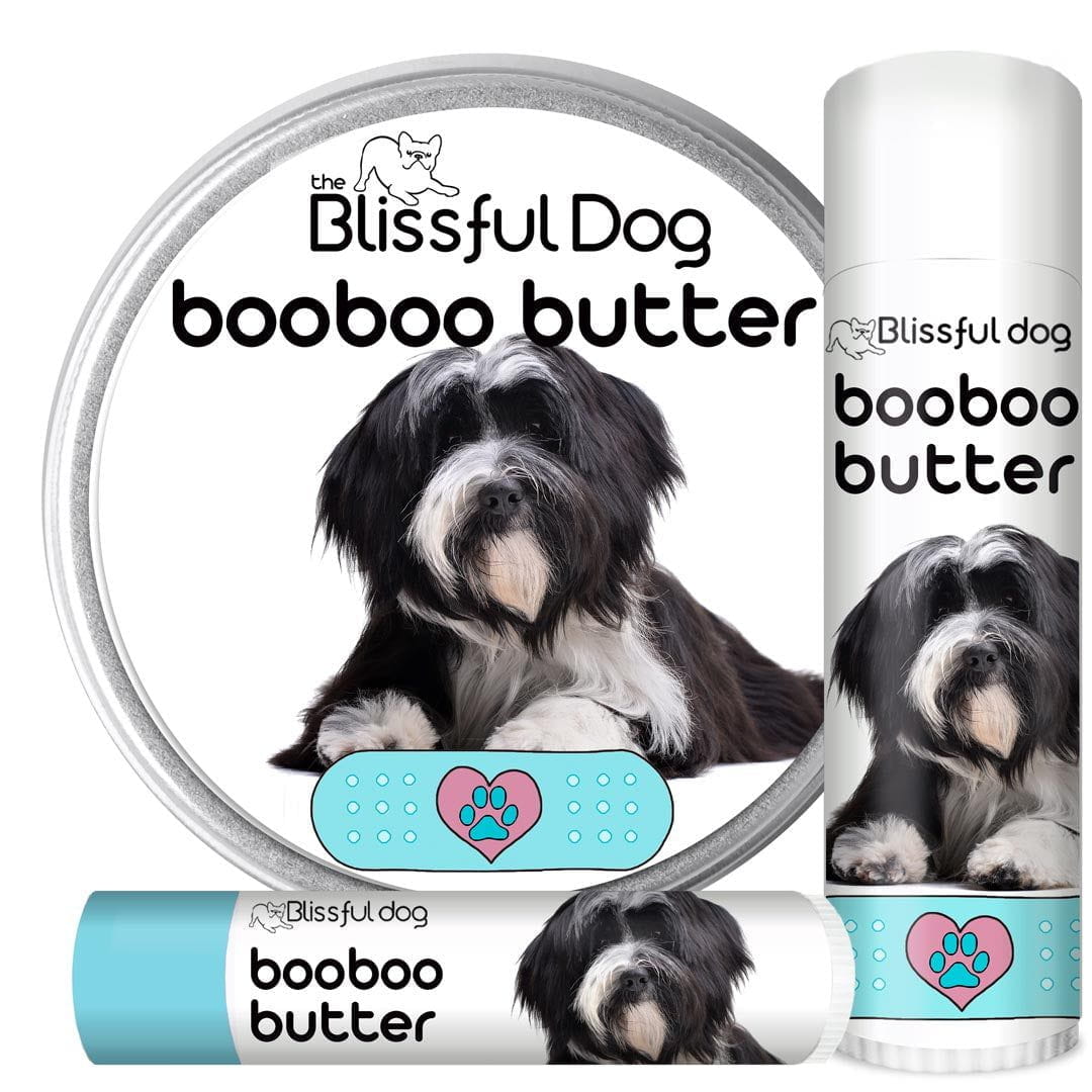 Best brush for deals tibetan terrier
