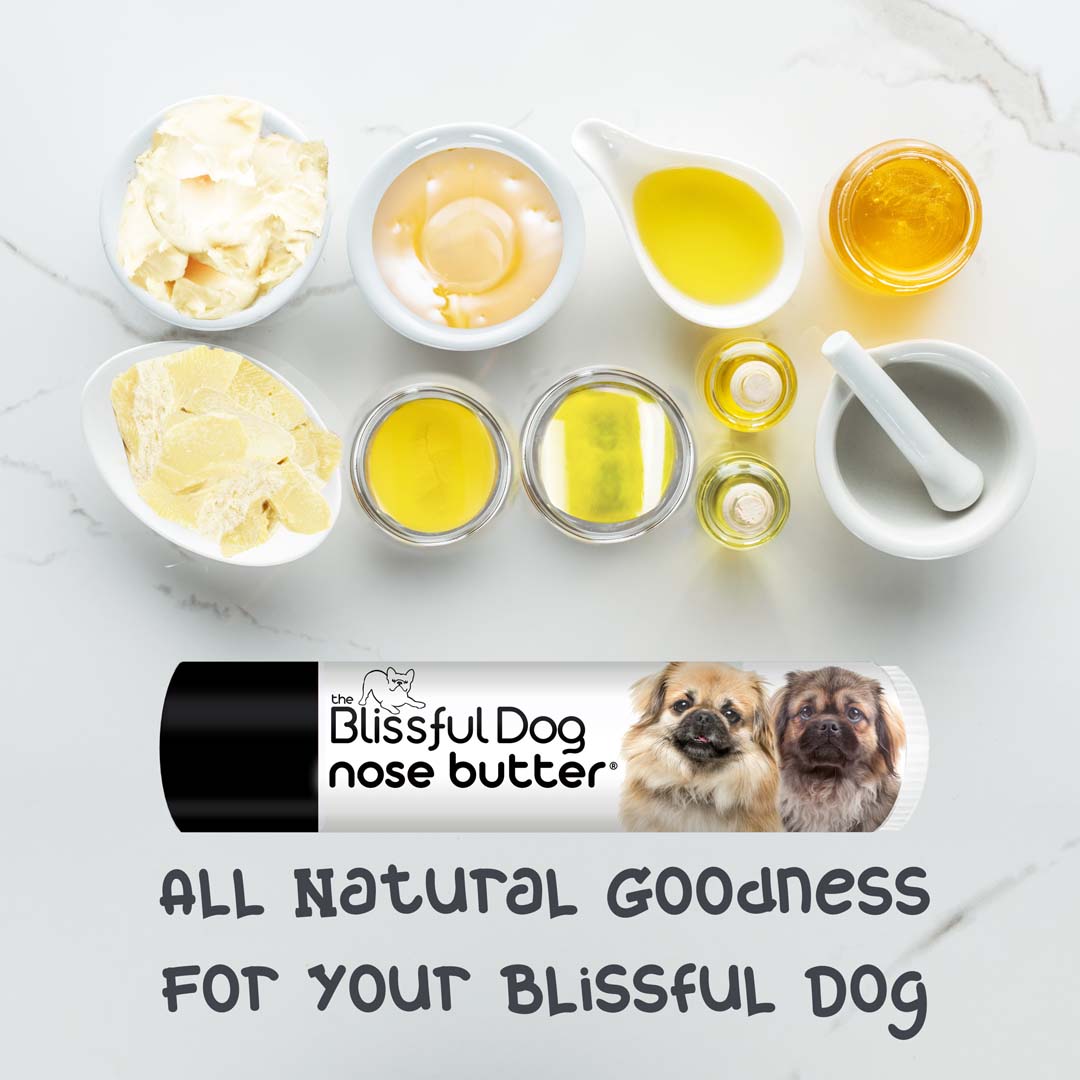 tibetan spaniel chapped nose