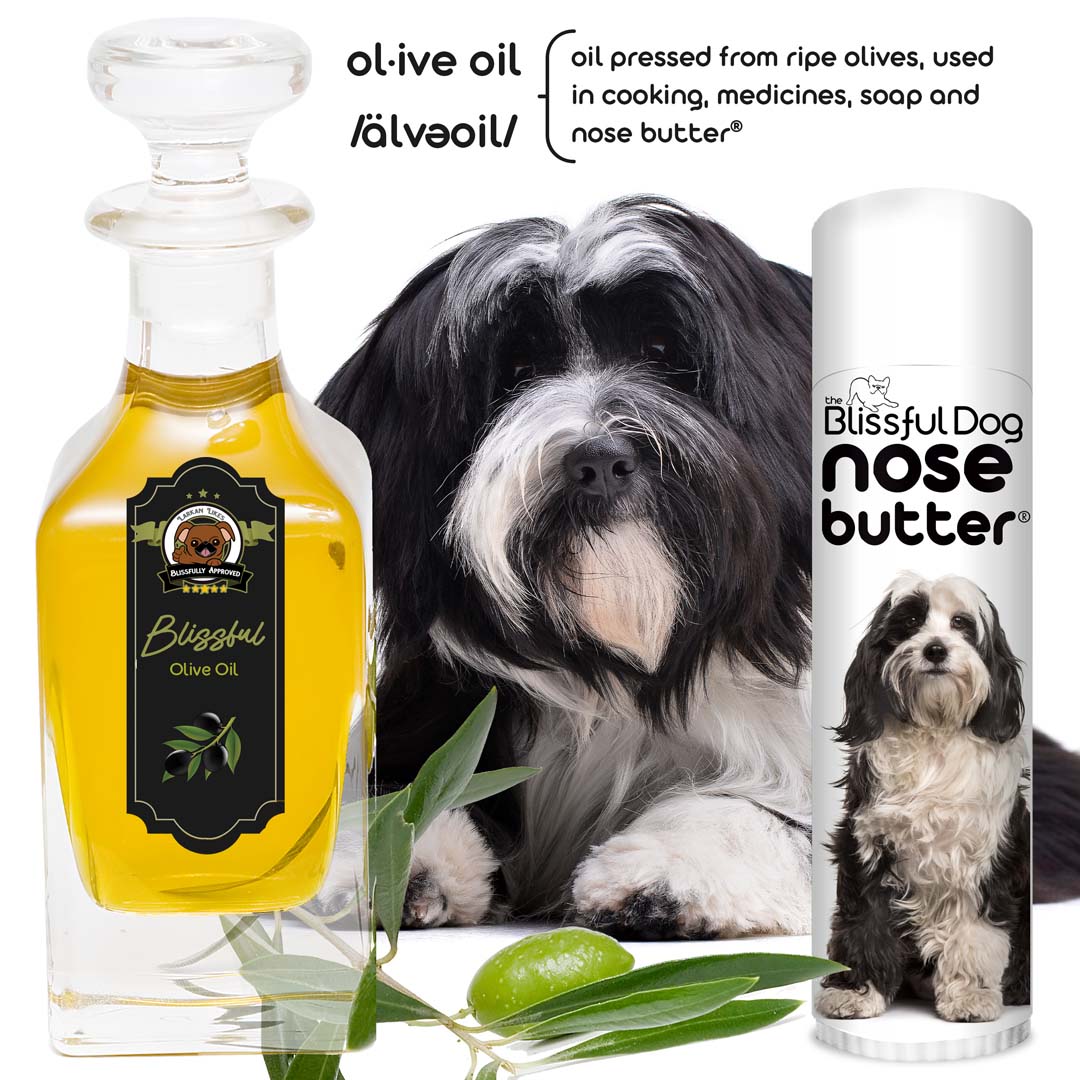 Tibetan Terrier Nose balm