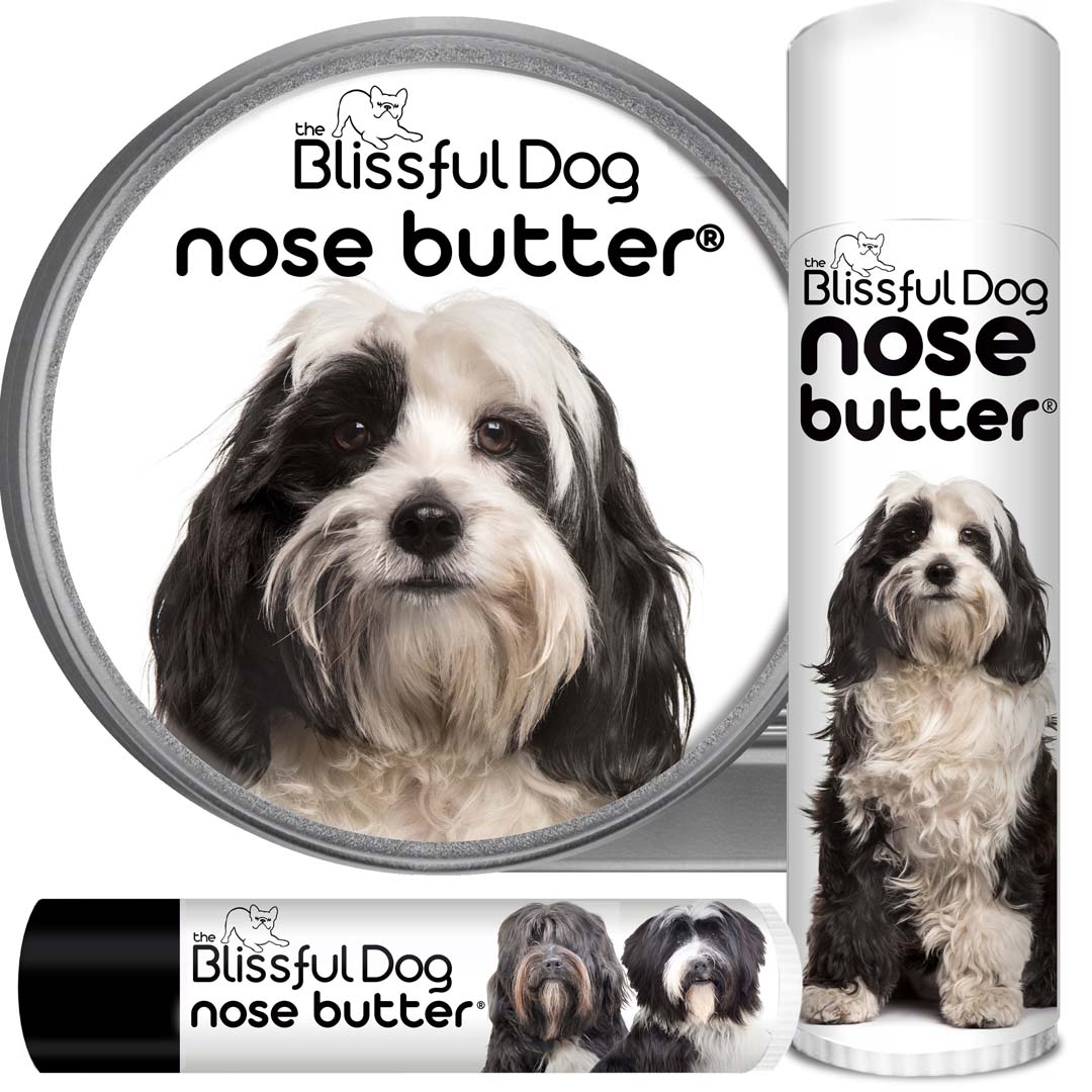 Tibetan Terrier Nose Butter