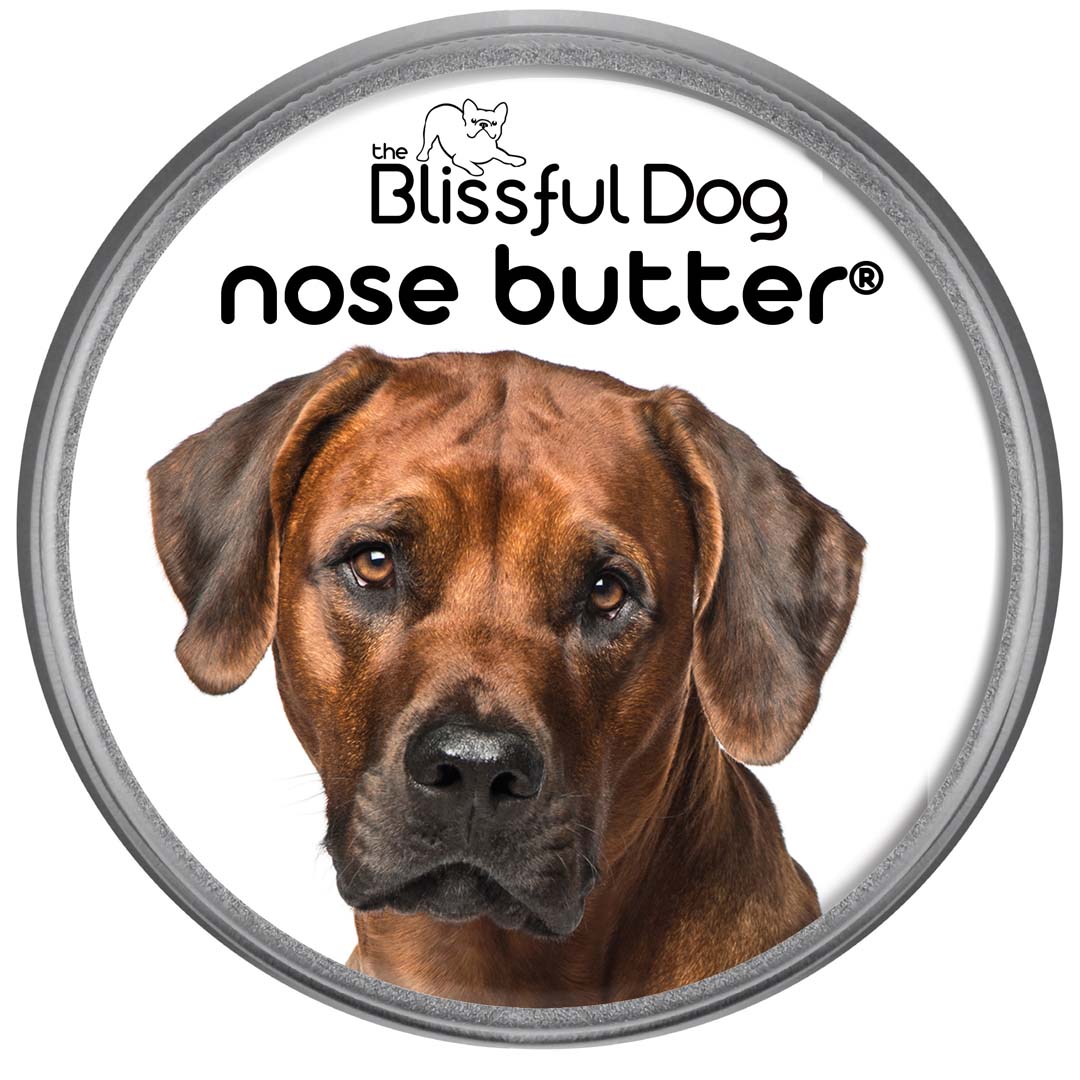 Rhodesian Ridgeback Nose