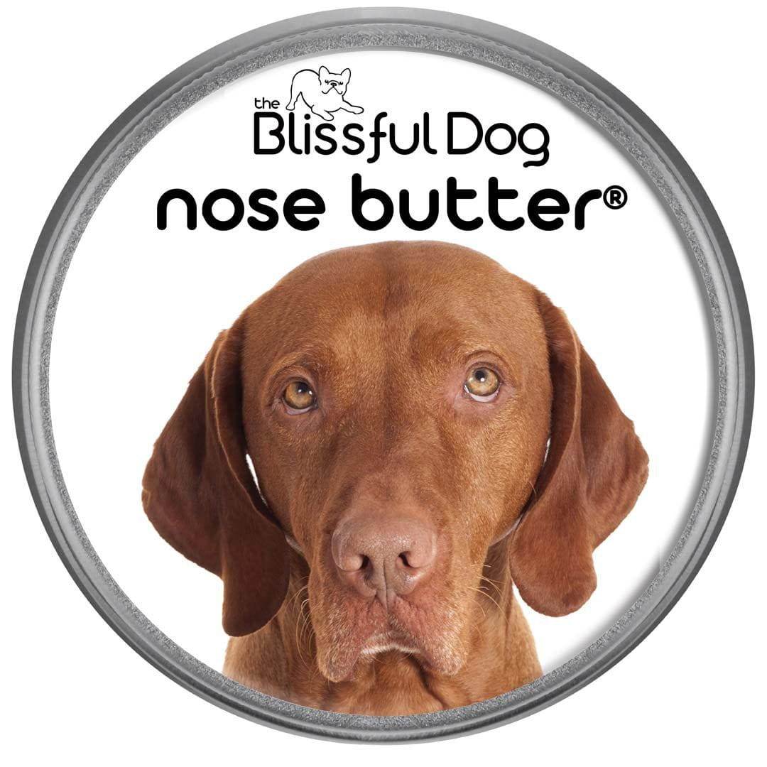 Vizsla Nose is Dry