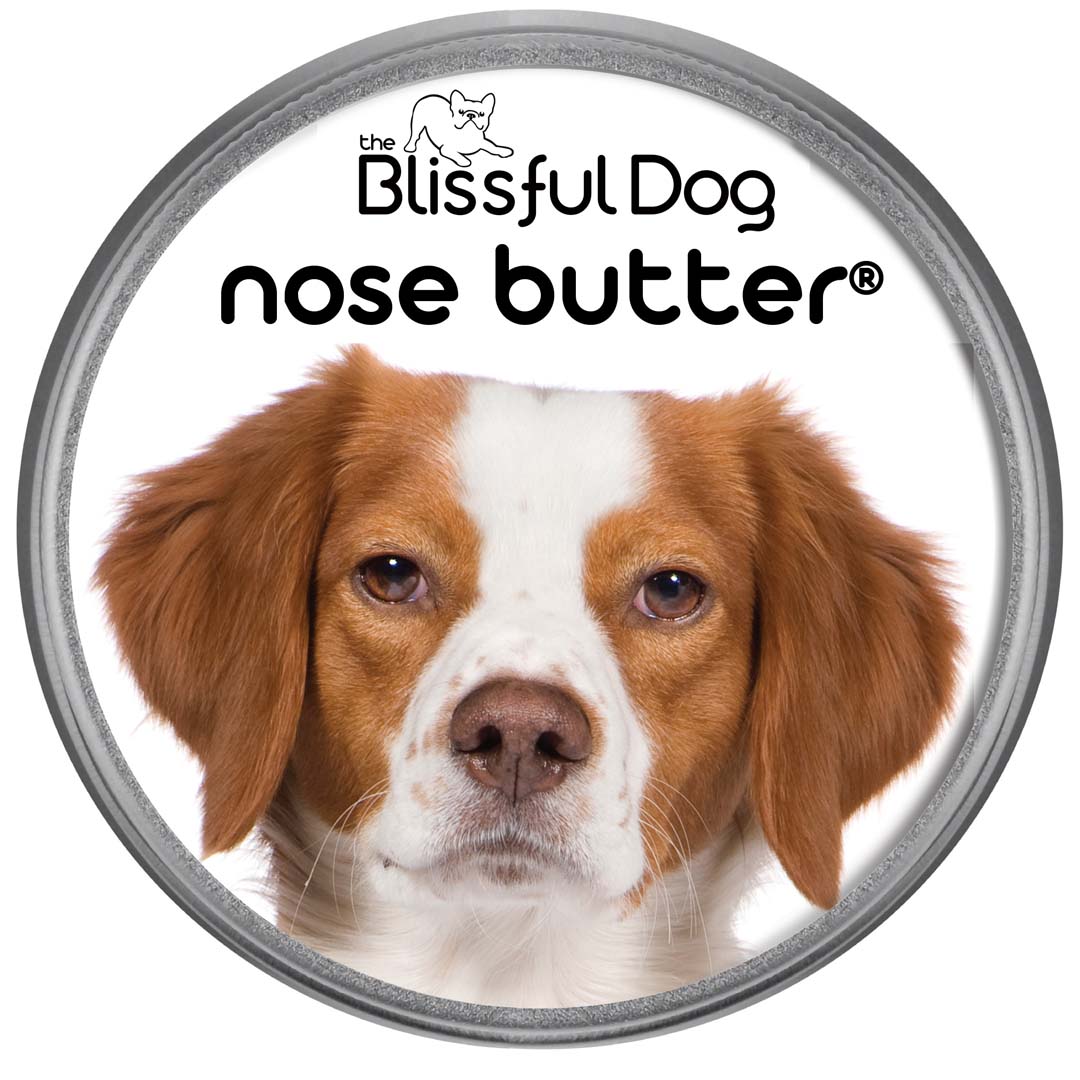Brittany Dog Nose Butter® Handcrafted for Your Dog's Dry Nose
