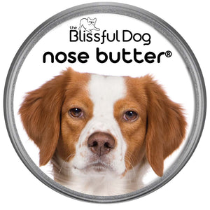 Brittany dog nose butter