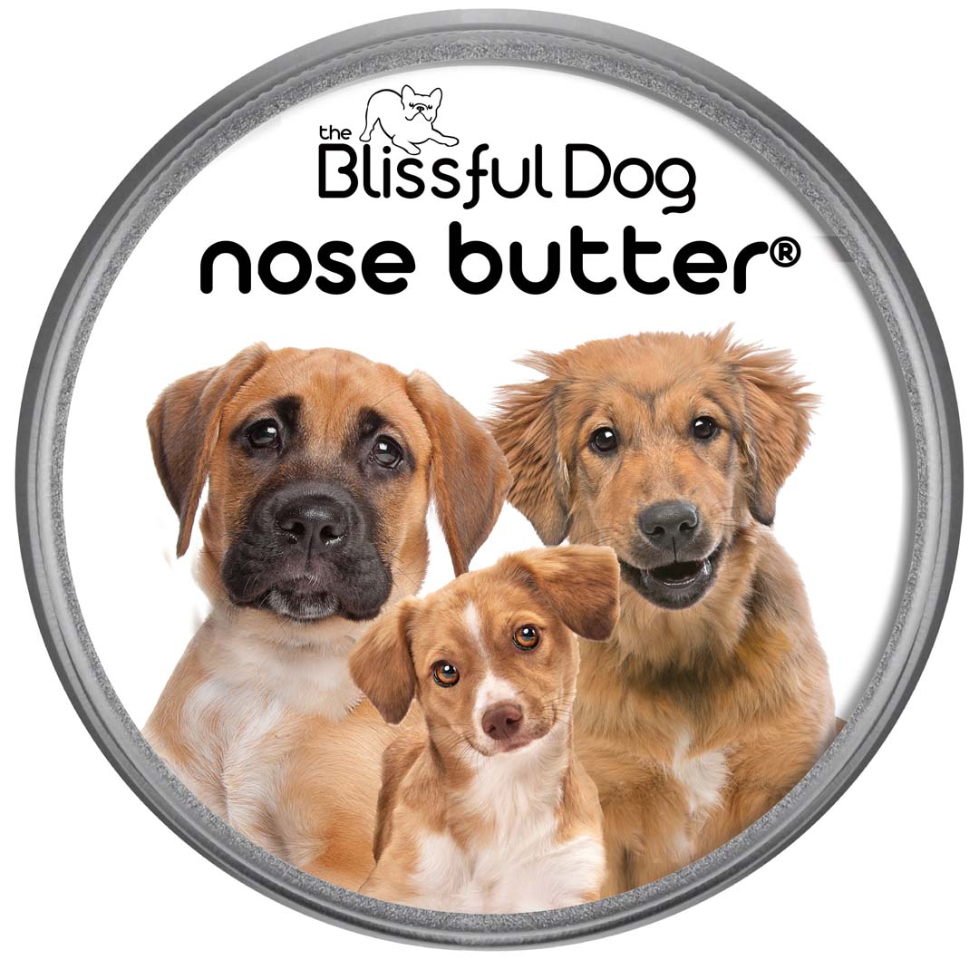 3 Cute Puppies Nose Butter