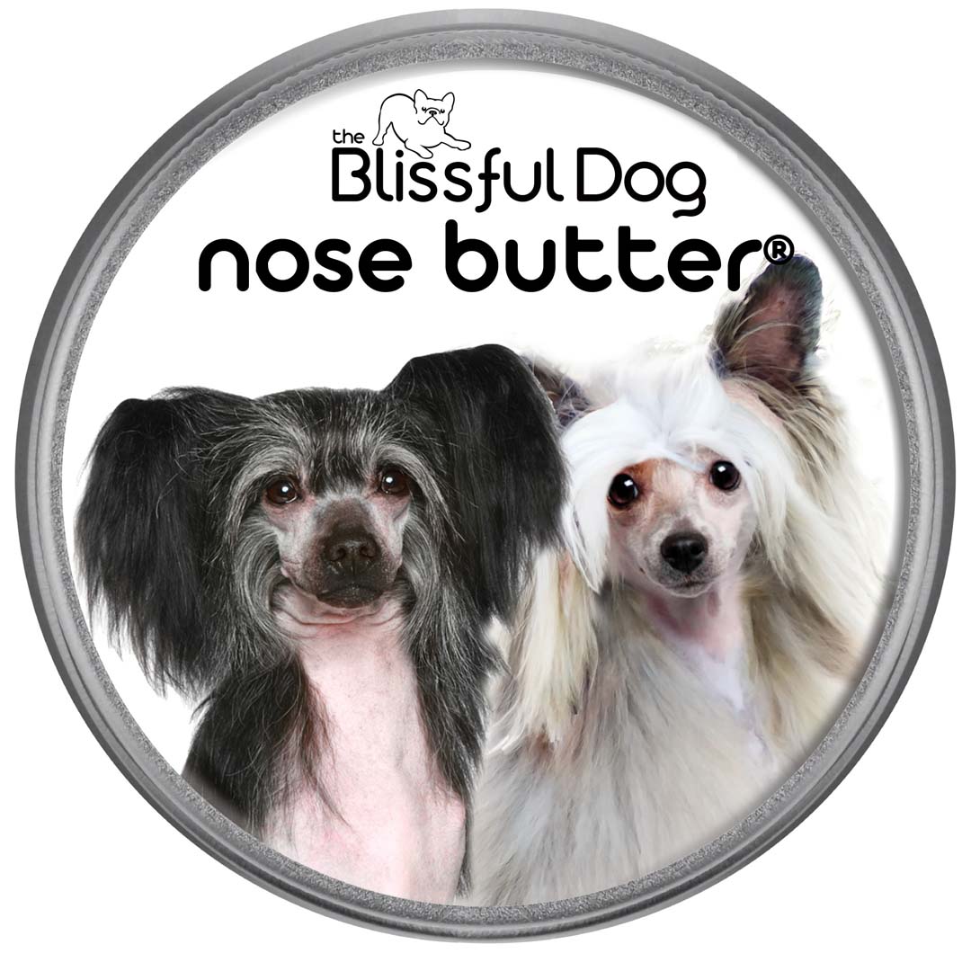 Chinese Crested nose butter