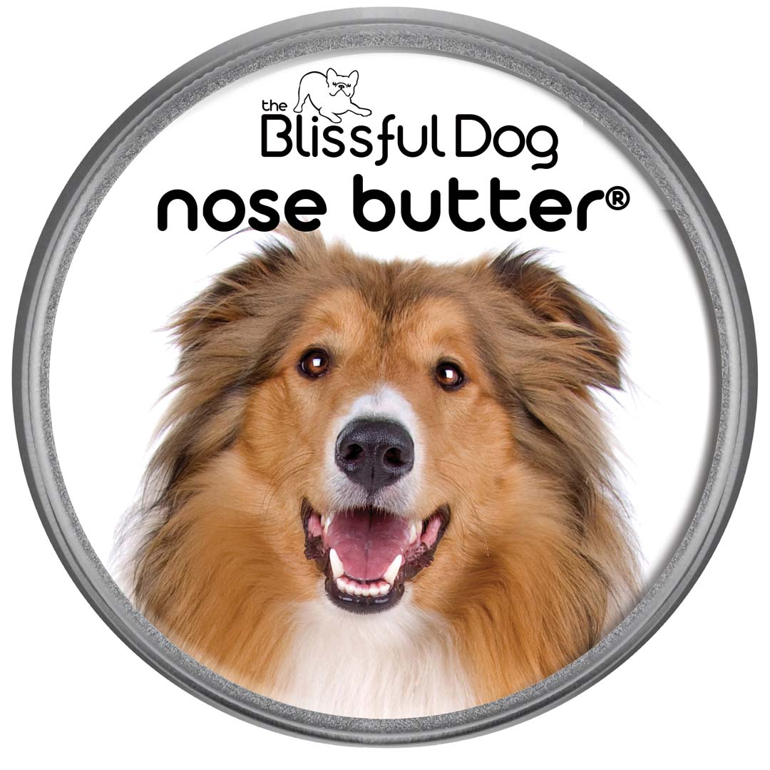 collie nose butter