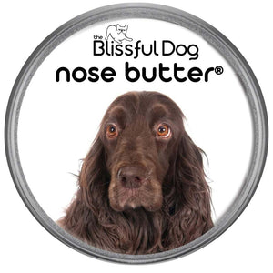 field spaniel nose is dry