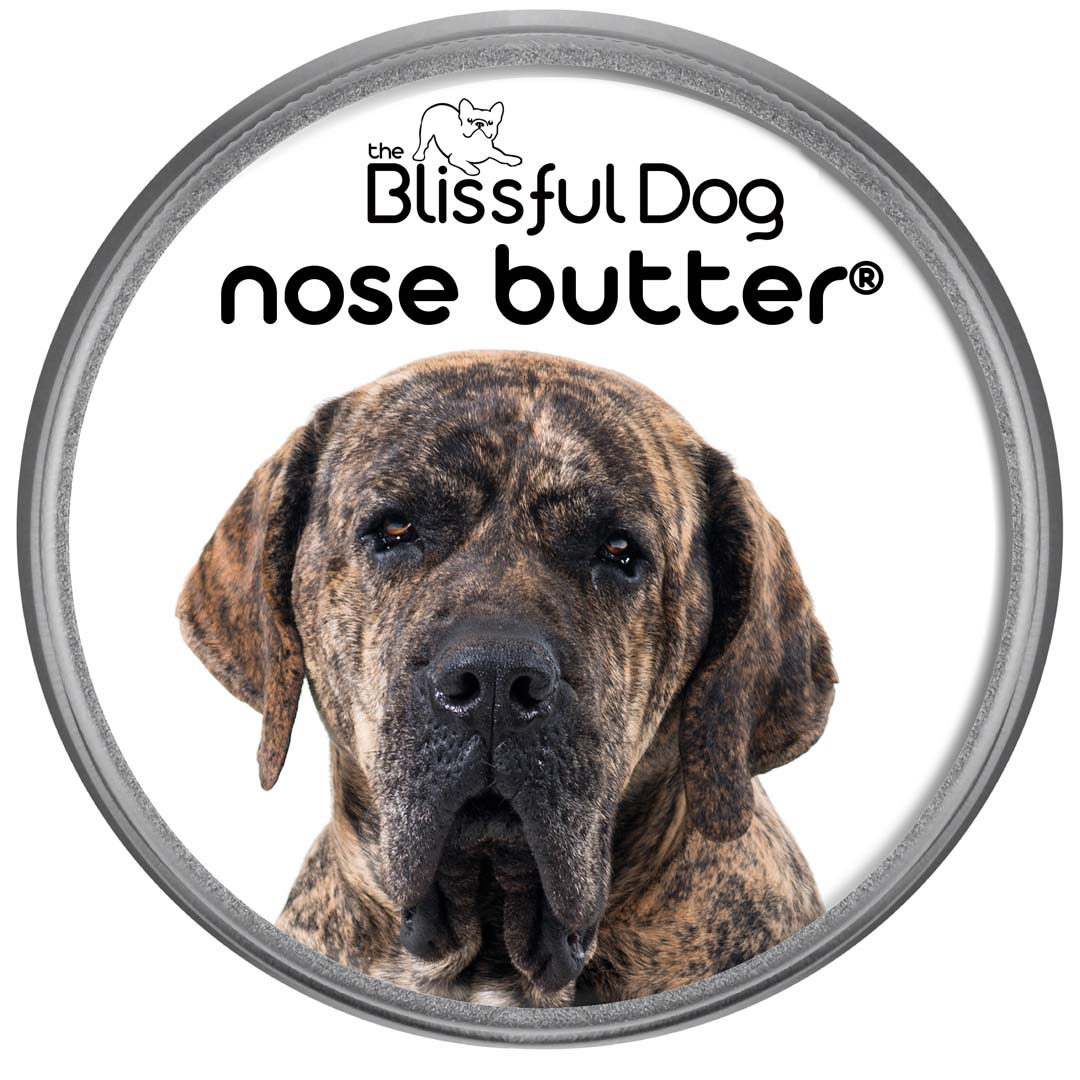 Fila Brasileiro Dog Sticker