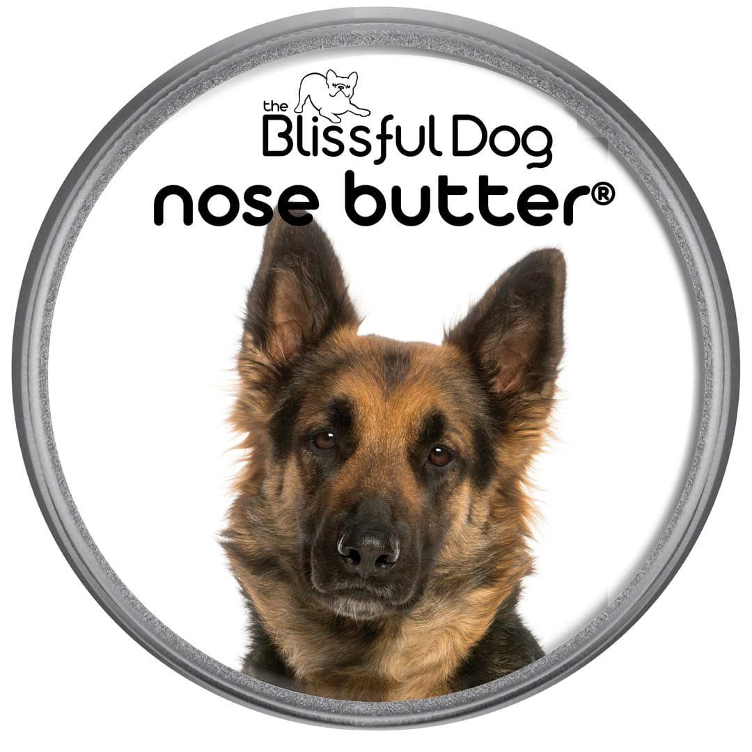 German Shepherd has a Dry Nose