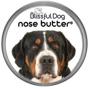 Greater Swiss Mountain Dog Nose is dry