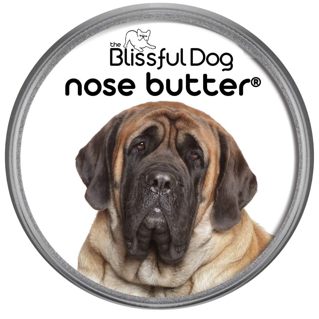 Mastiff Nose is Dry