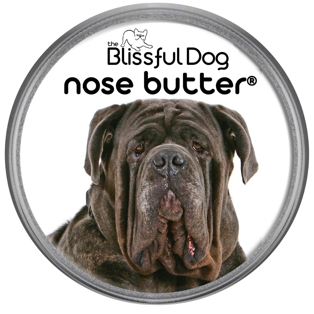 Neapolitan Mastiff Nose is Dry