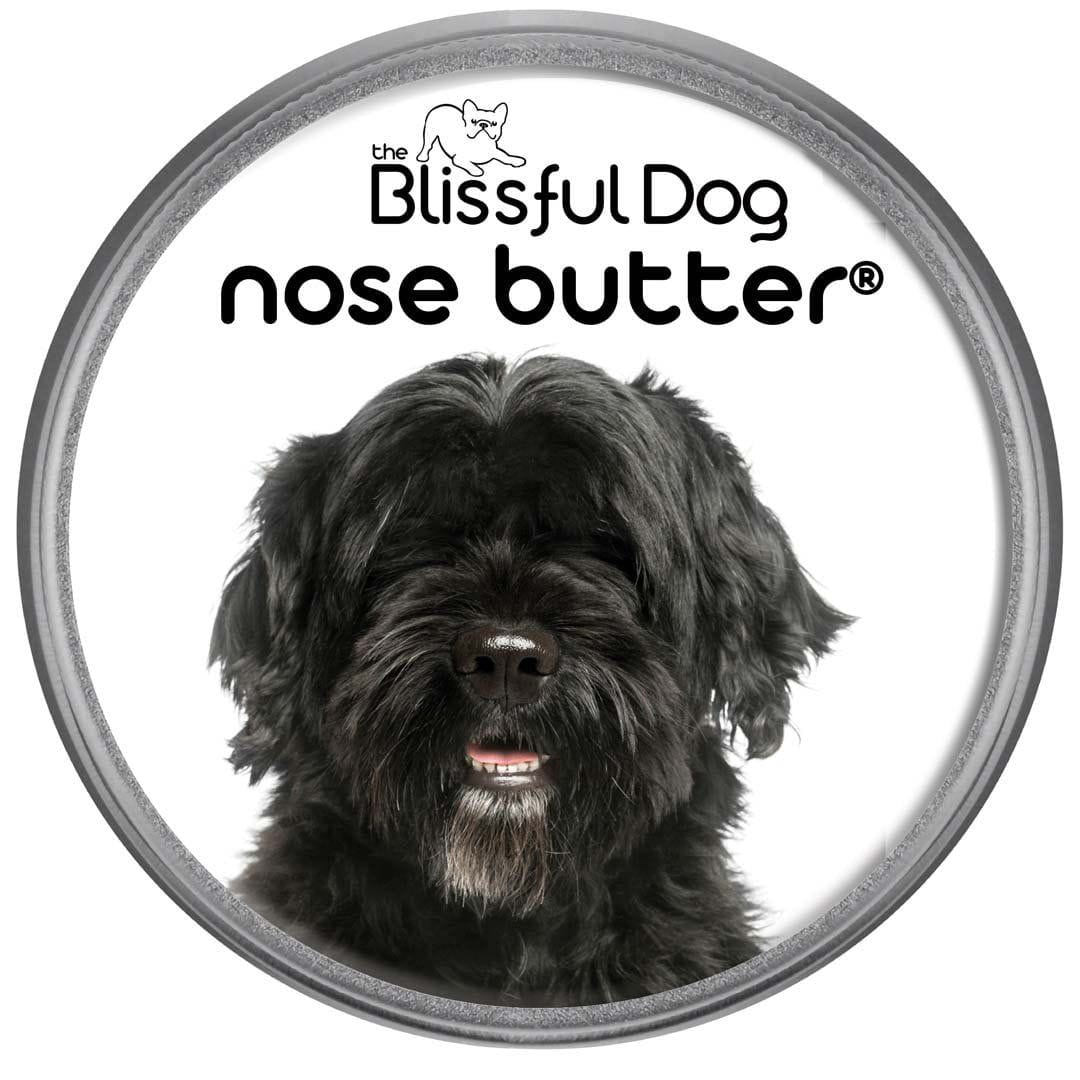 Portuguese Water Dog Nose