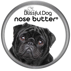 Black Pug Dry Nose