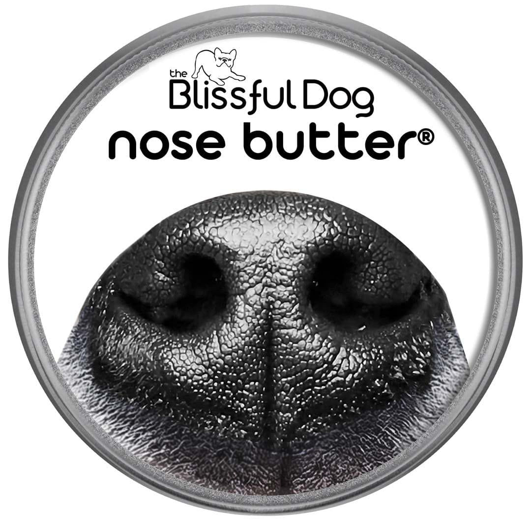 Nose butter for dogs petsmart sale