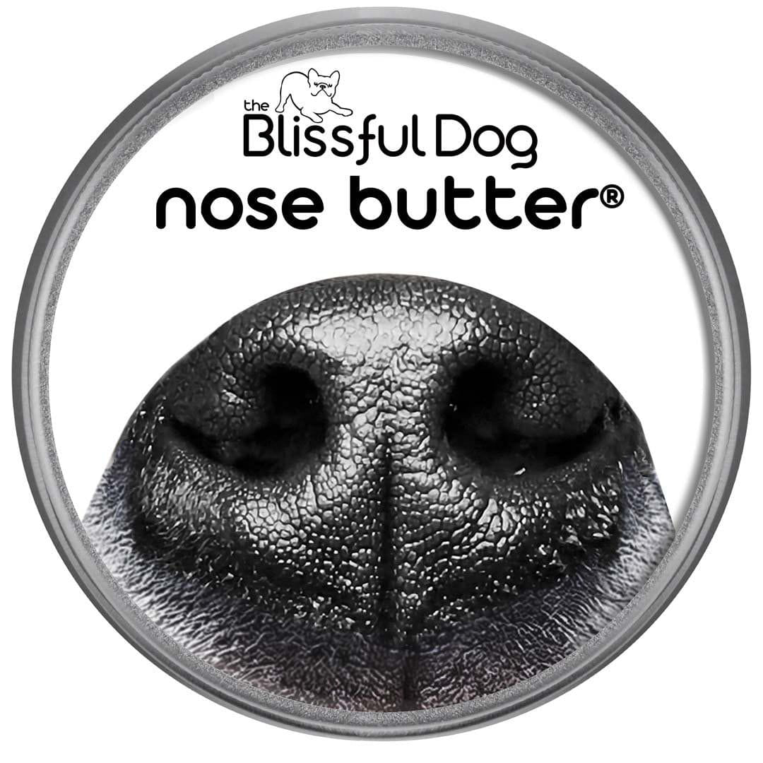 Every Dog Nose Butter For All Dogs