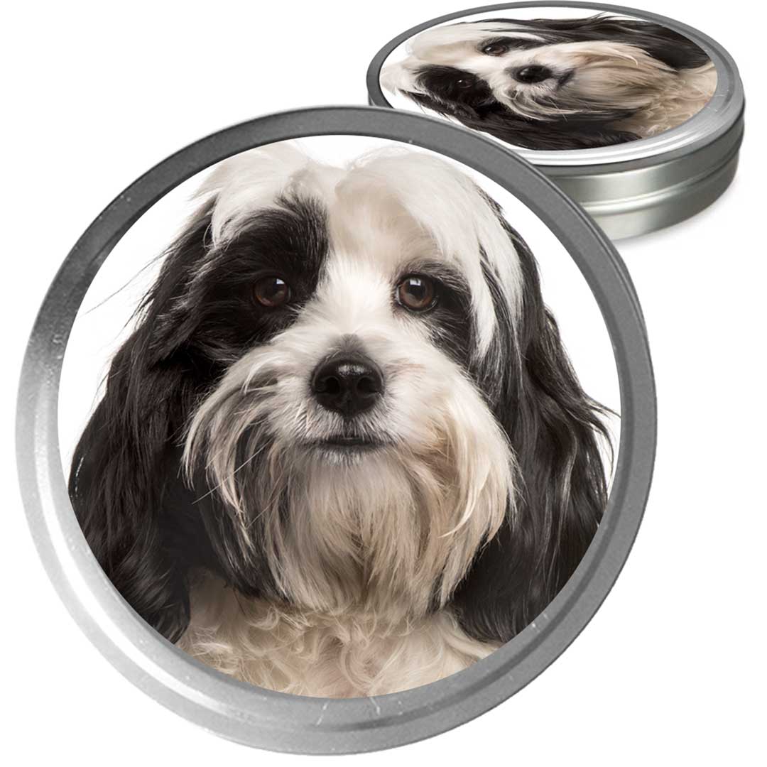 Tibetan Terrier Custom Combo