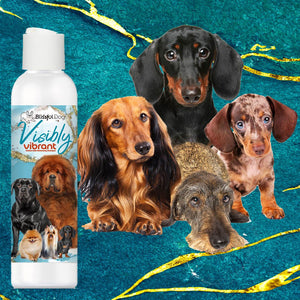 dog shampoo enhances coat color