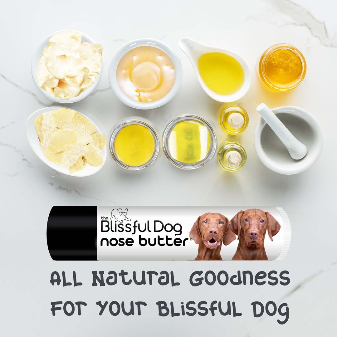 Snout butter best sale for dogs