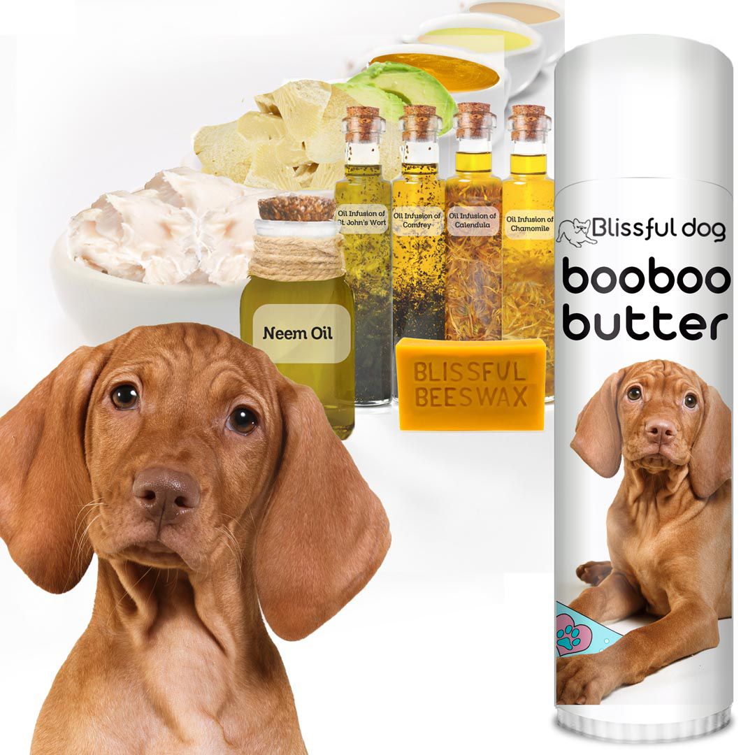 Best brush for vizsla top
