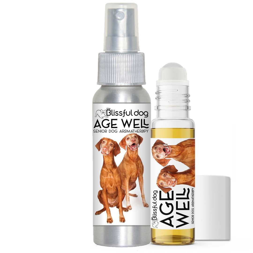 vizsla age well dog aromatherapy