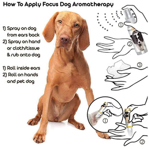 Vizsla Focus Dog Aromatherapy