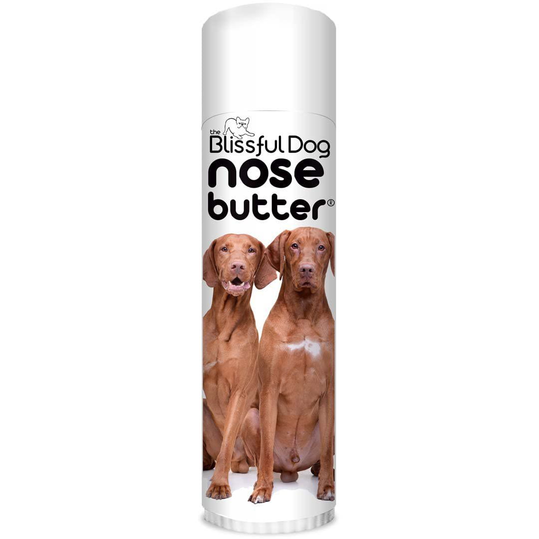 Vizsla Nose is crusty