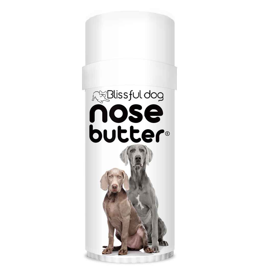 Weimaraner Nose Conditioner