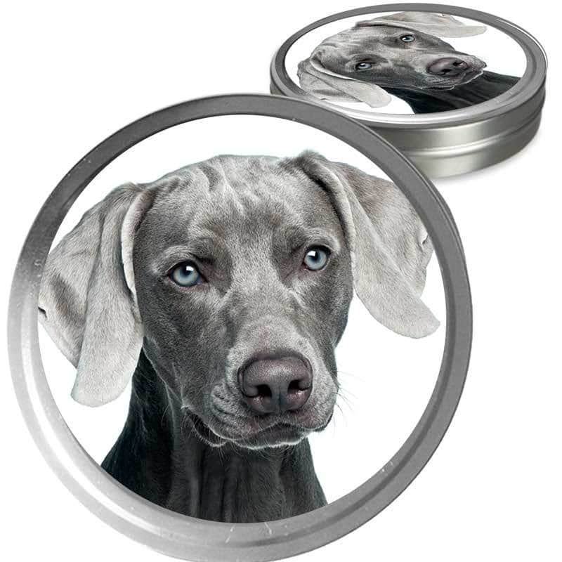 Weimaraner Custom Combo