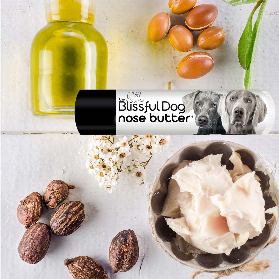 Weimaraner Nose Balm