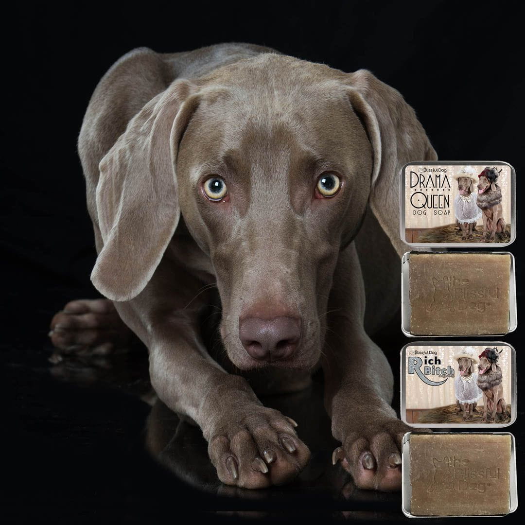 Weimaraner Dog Soap