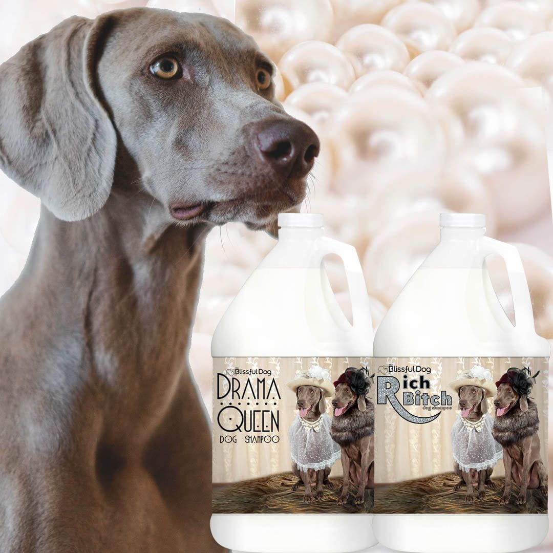 Dog Shampoo for Weimaraners