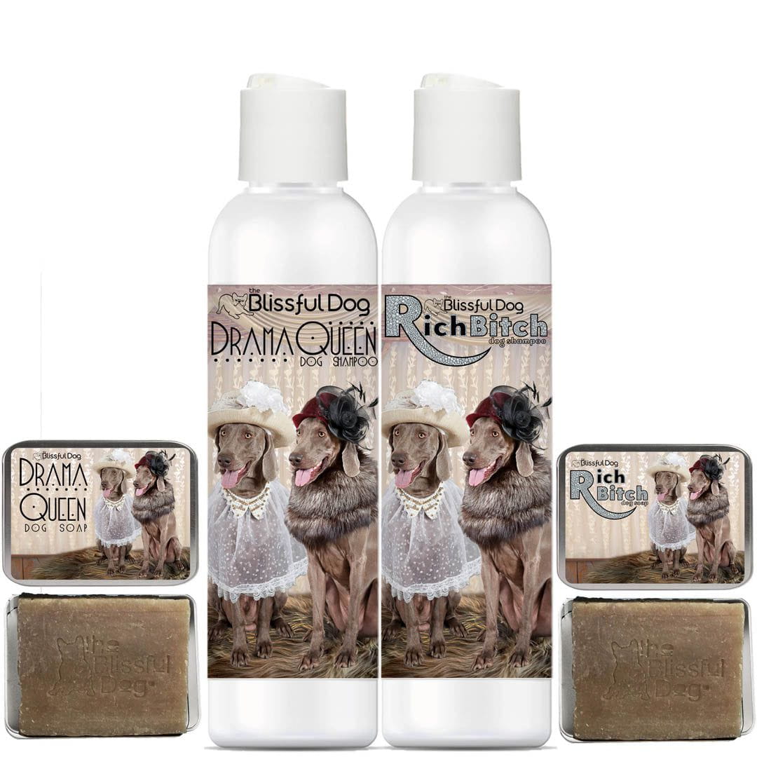 Weimaraner Dog Shampoo