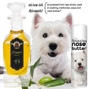 West Highland White Terrier nose butter
