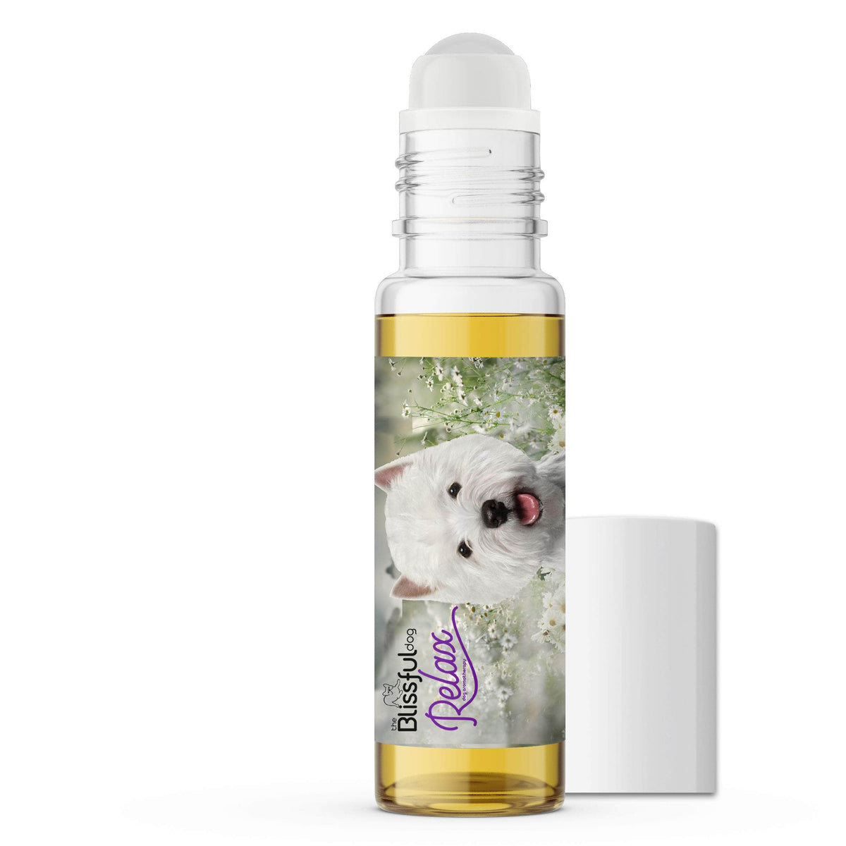 west highland white terrier anxiety