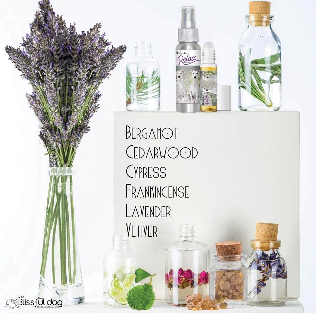 whippet all natural care