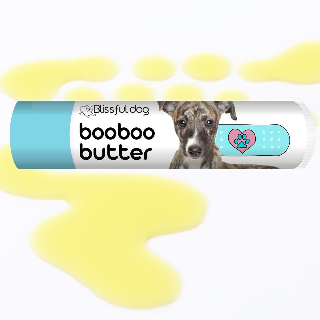 The Blissful Dog Boo Boo Butter Balm for Minor Dog Skin Irritations