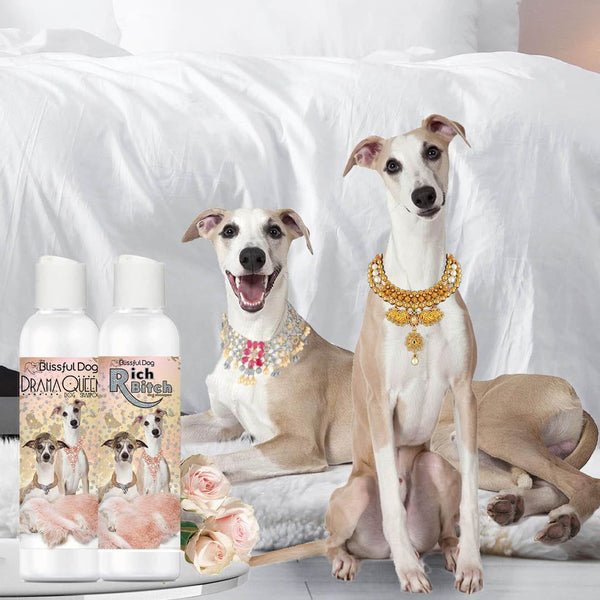 Best dog shampoo sales
