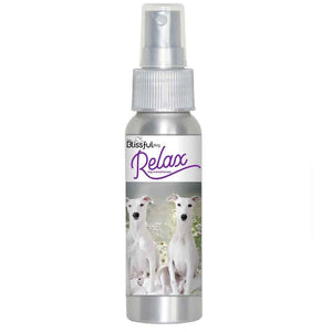 whippet relax dog aromatherapy