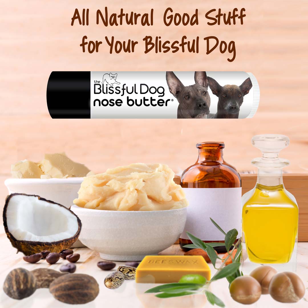 Xoloitzcuintli Nose chapped