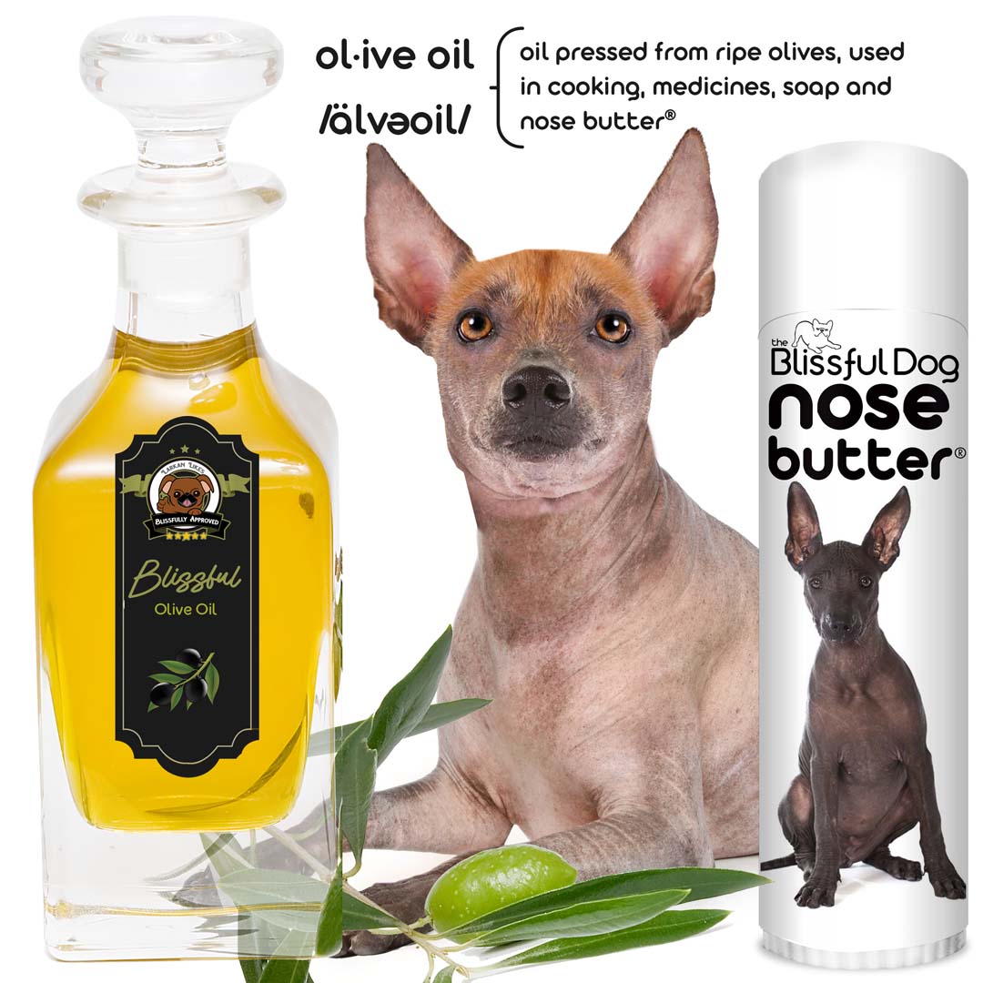 Xoloitzcuintli Moisturizer