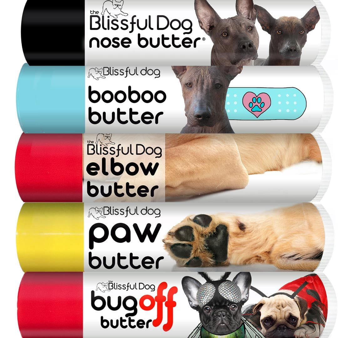 Xoloitzcuintli skin care