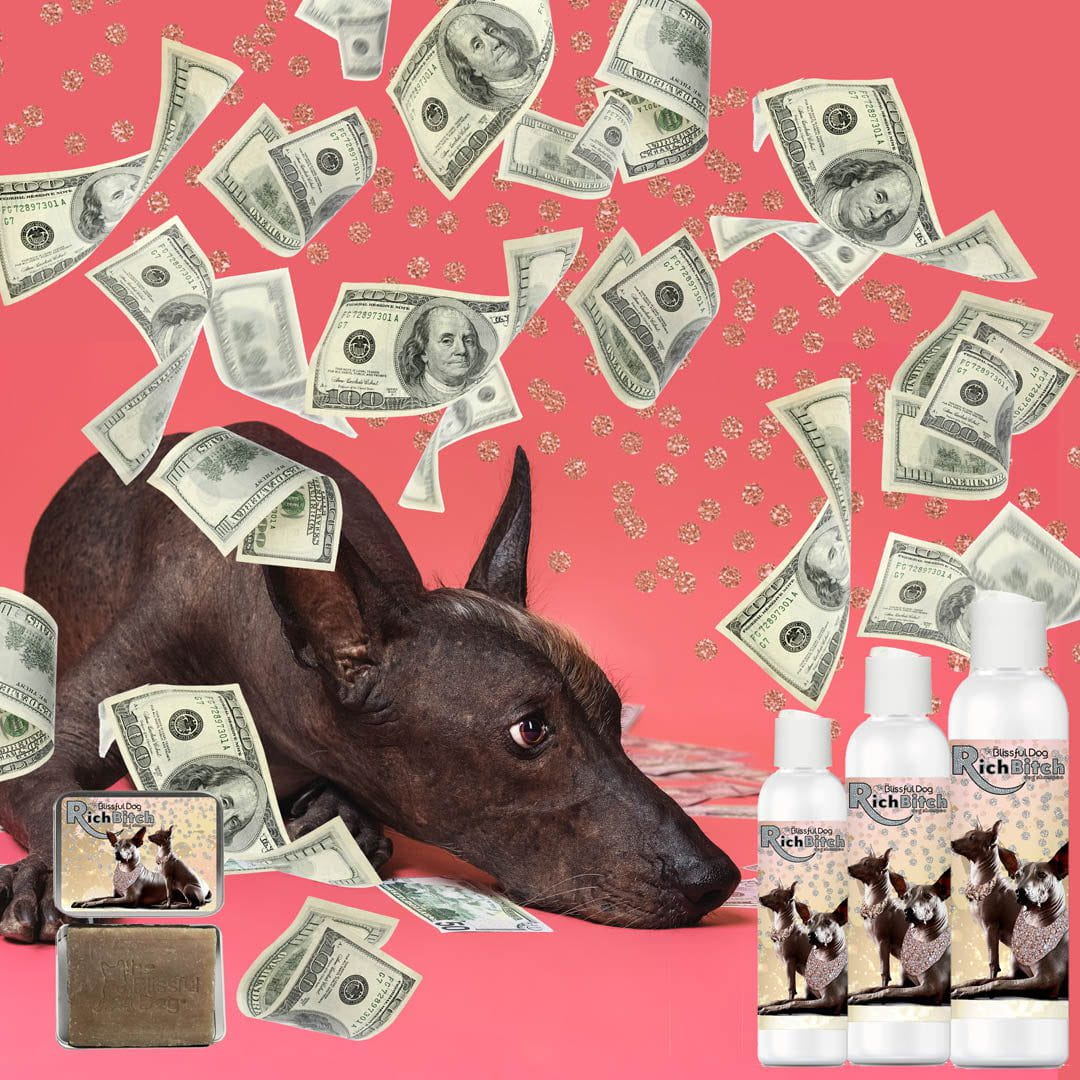 Xoloitzcuintli rich bitch shampoo