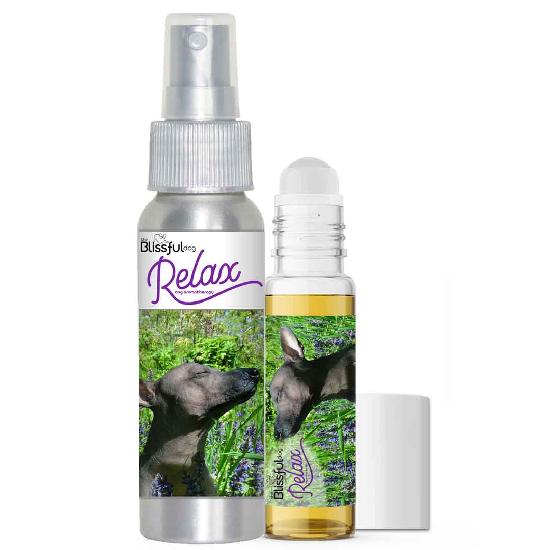 The Blissful Dog Xoloitzcuintli Skin Care Collection