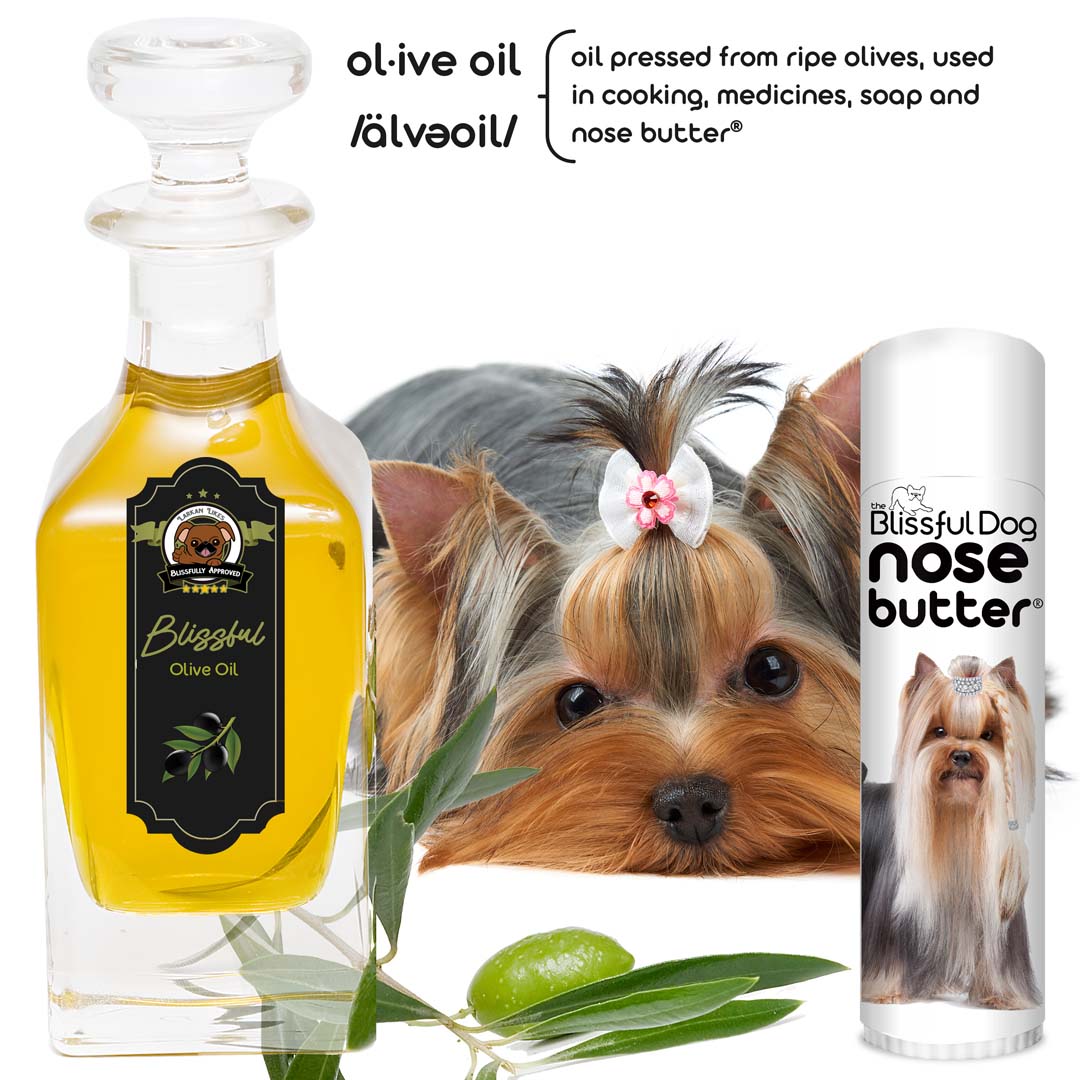 Yorkshire Terrier Nose Moisturizer