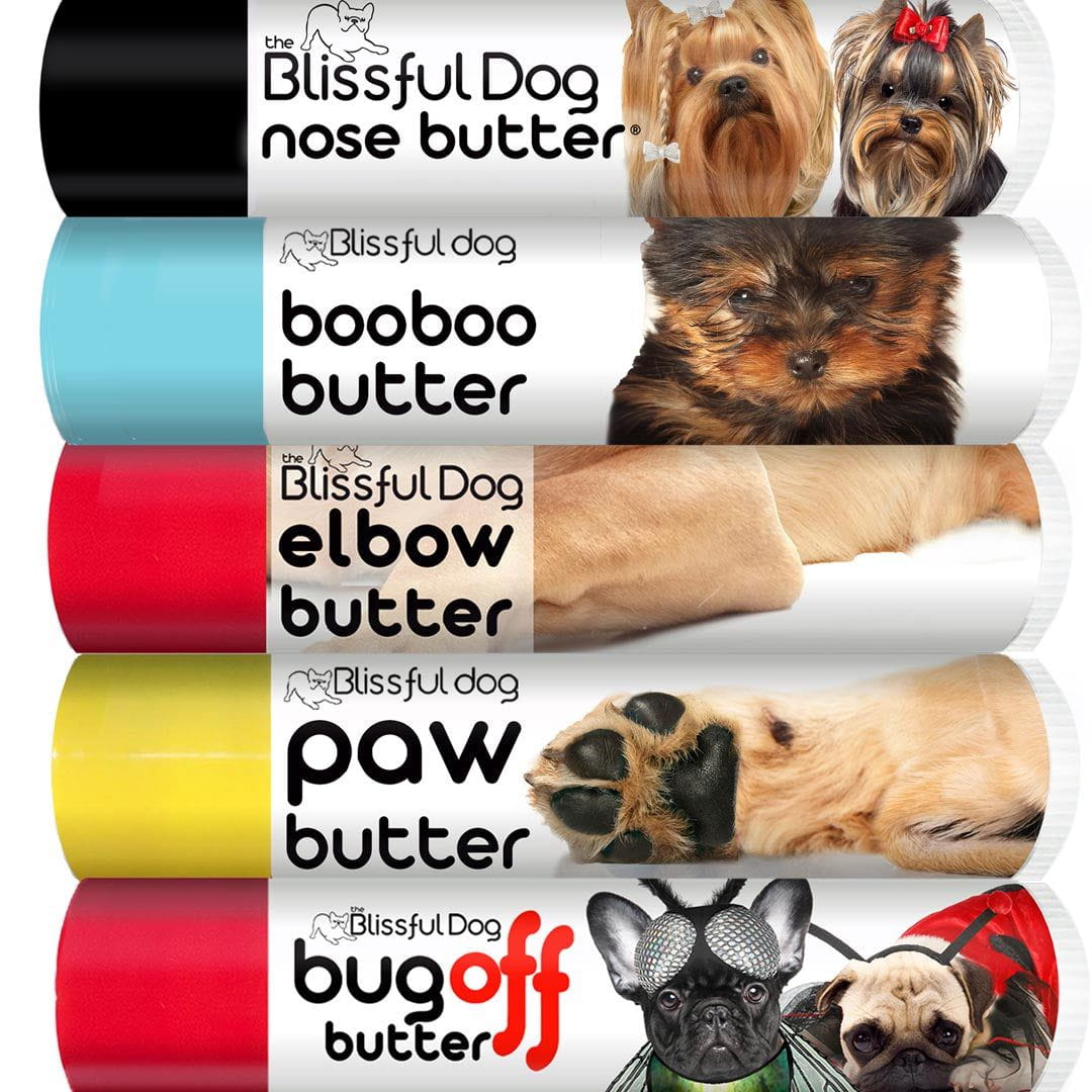 The Blissful Dog Yorkshire Terrier Skin Care Combo for Your Dog's Need