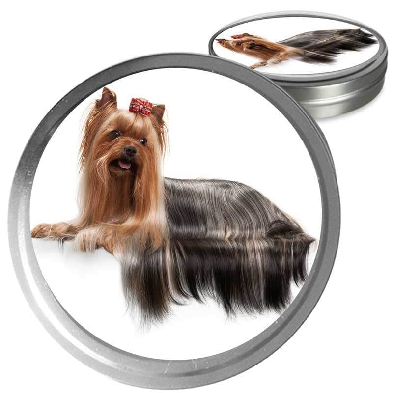 Yorkshire Terrier Custom Combo