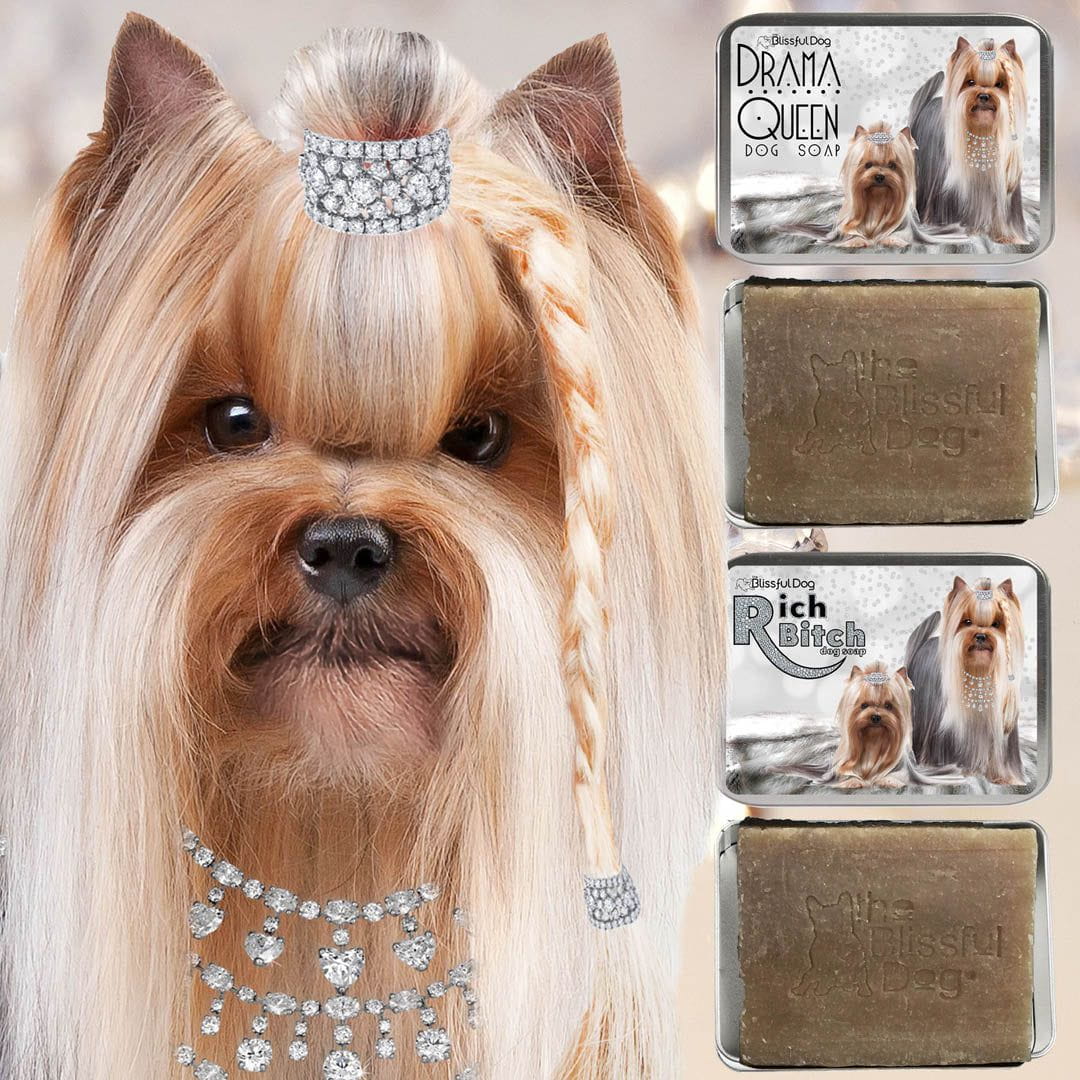 Yorkshire Terrier Rich Bitch Drama Queen Shampoo Soap