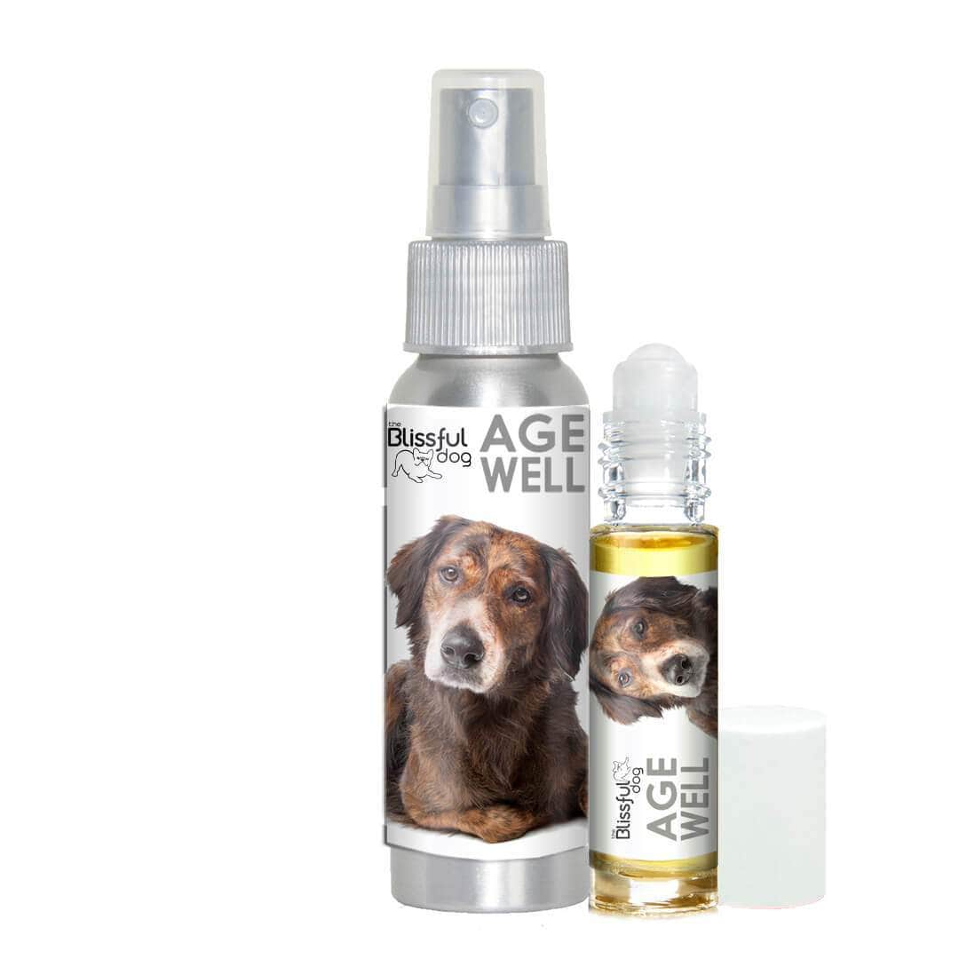 Mixed Breed Age Well Dog Aromatherapy
